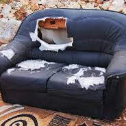 The Broken Sofa