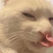 Nyww