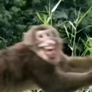 来训练场看我击靶