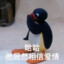 小狗吃不饱