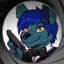 RisicoWolf