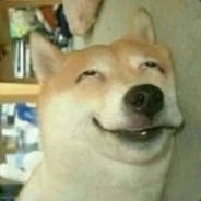 狂按举报称赞对手