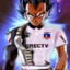 Vegeta Del Colo Colo