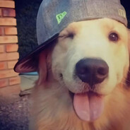 bea - steam id 76561199641917981