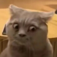 我是无敌小霸王