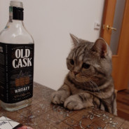 ШиШкУ_СкУрИл