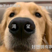 QYEZ丶保安队队长