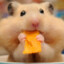 Hamster