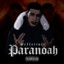 Paranoah