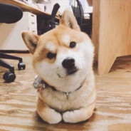 江宁区第一白给