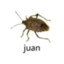 Juan