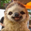 Xulio