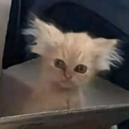 LLlKET - steam id 76561199003992793