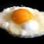 egg  (cooked)