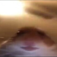 Крутой Хомяк