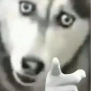 提刀剁狗你别叫