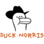 duck-norris