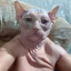 Avatar of player TUBOROSH