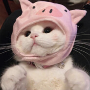 你是我的小老虎