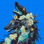 Seraphim