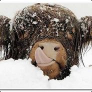 Pontus - steam id 76561197961345472
