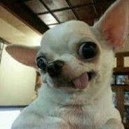 這城市沒有冬季