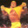 Hulk Hogan Gaming 