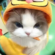 混过社会装过傻