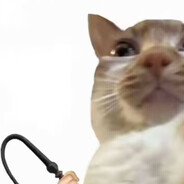 我大调查把你避的税都