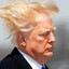 Donald J Trump