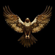 Bird1ish avatar