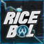 Ricebol @Youtube cs.money