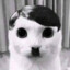 Adolf Kitler