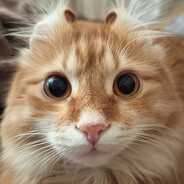 ☯ПАН КОЦЬКИЙ☯