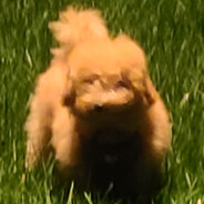 BigCitySLAMS - steam id 76561197979752293