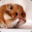 Hamster