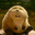 Justice Beaver