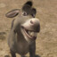 BURROOOOOOO