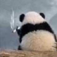 她说戴算不给91