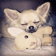 bonanibro - steam id 76561197963250200