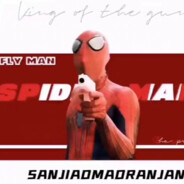 看看什么是Spider Man昂