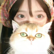 今天要做真锦鲤