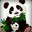 DatPanda