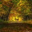 Nature922