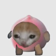peach cat