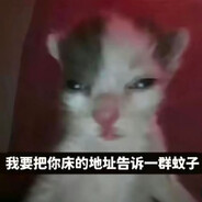 玩家头像