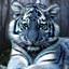 Triger