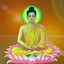 SPACING BUDDHA