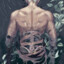 Hasatori