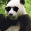 pandafavorite